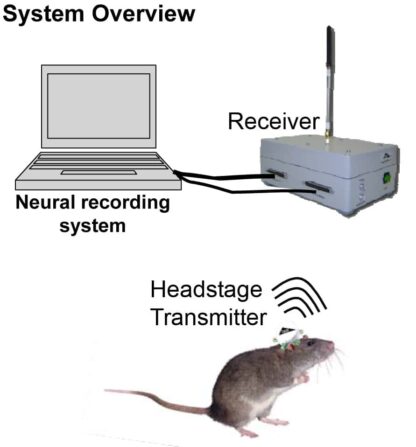 Multichannel Solutions